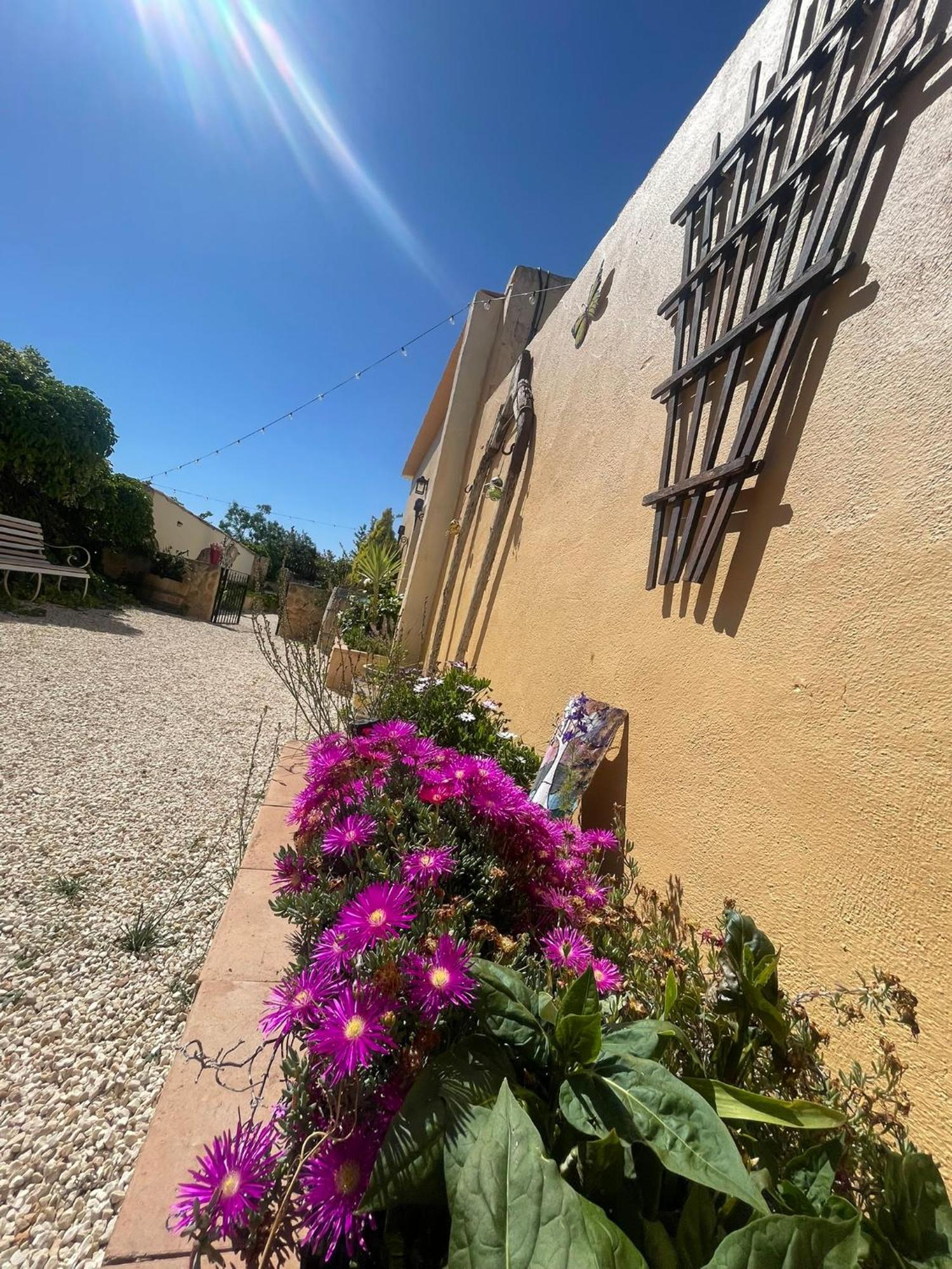 Casa Rural Ubeda - B&B - Pinoso-Alicante Buitenkant foto